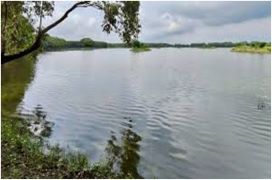 Shaikha Lake Declared India’s 99th Ramsar Site